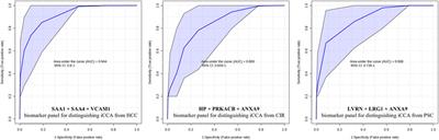 Unveiling novel serum biomarkers in intrahepatic cholangiocarcinoma: a pilot proteomic exploration